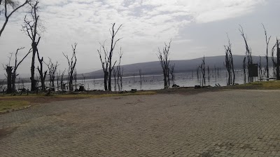 Photos of Nakuru Park