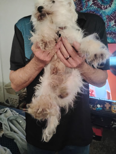Malissa's Grooming - Thumbnail