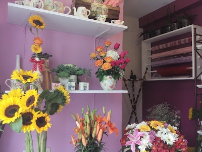 Photos of Florer&iacute;a Flor de Lis Toluca