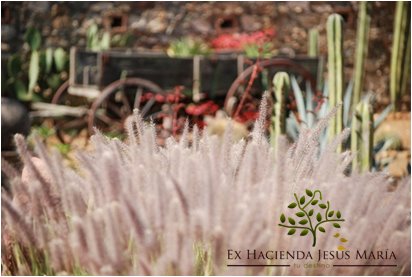 Ex Hacienda Jesús Maria Gallery - Mexico