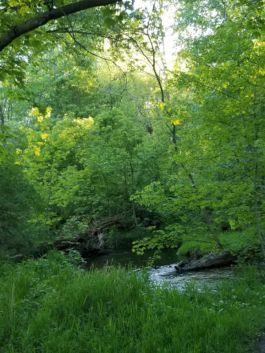 Firestone Metro Park, Parking Lot - Thumbnail