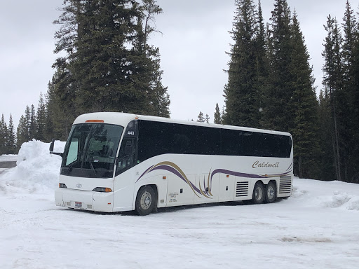 Caldwell Transportation Company, Inc - Thumbnail