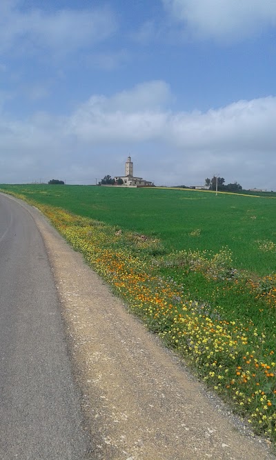 Photos of Mosqu&eacute;e Omar Ibn L'khattab