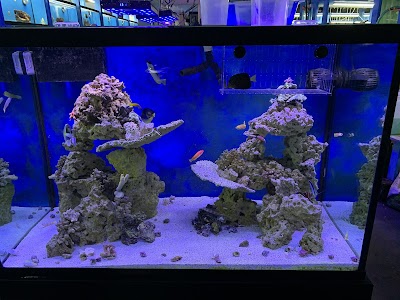 KHC Aquarium