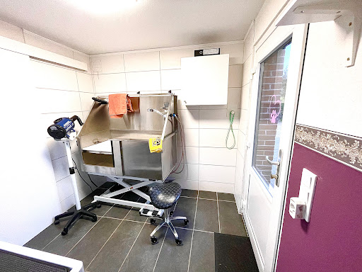 Hundesalon Jarplund Salon HotDog