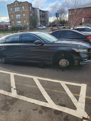 Cesar's Foreign Car - Visual