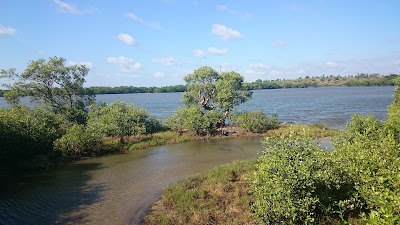 Photos of Lagoon Cabanas