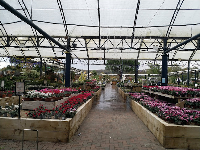 Comments and reviews of Cadbury Garden Centre
