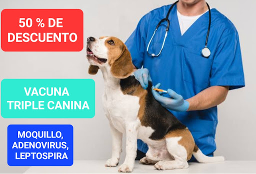 Centro Médico Veterinario Pets Love Vets