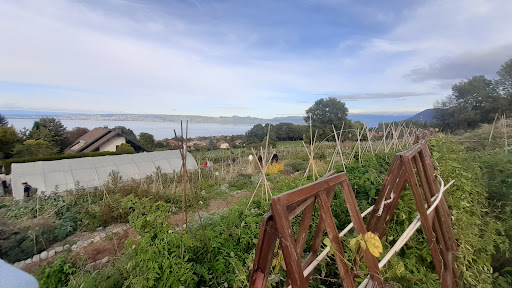 Les Jardins de Solune - Bio et Permaculture