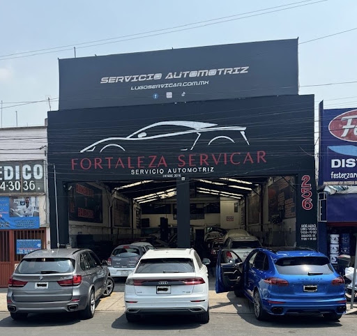 Fortaleza Servicar Av.8