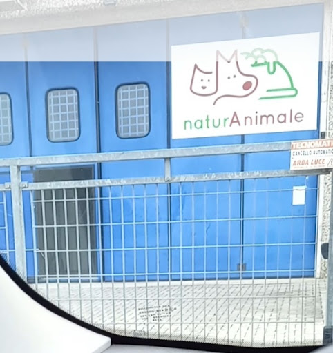 Naturanimale - Visual