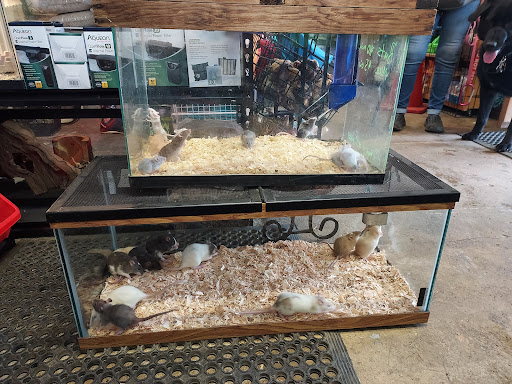 HAPPY TAILS PET SHOP & MORE! - Thumbnail