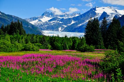 Cruise Planners - TravelbyGlen Gallery - United States