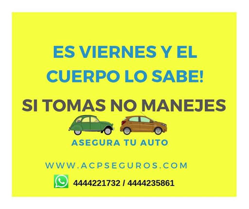 ACP Seguros - Thumbnail
