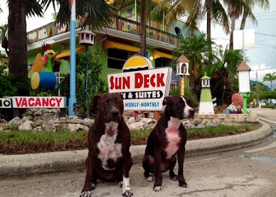 Photos of Sun Deck Inn & Suites
