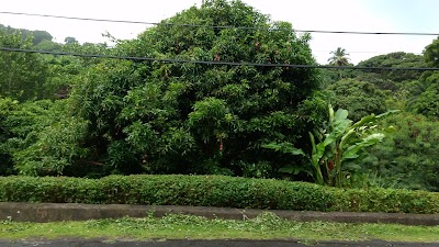 Photos of Belmont Estate