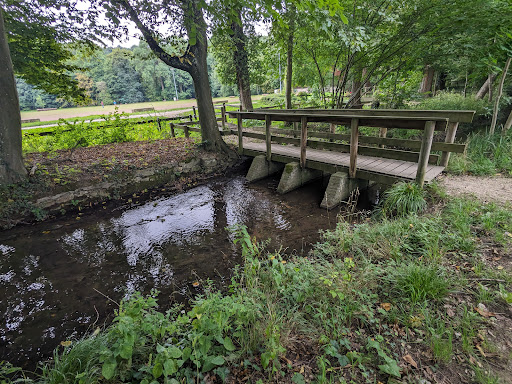 Champigneulles Parc du Château - Thumbnail
