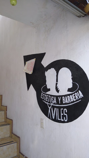 Estetica y Barberia AVILES - Mexico