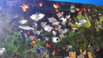 Photos of Permata Aquarium