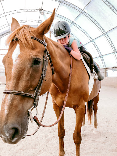 Destiny Equestrian Complex - Visual