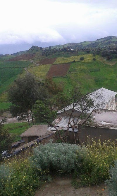 Photos of سوق الاربعاء