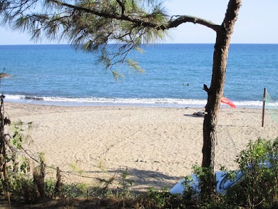 Photos of Zeytin Apart