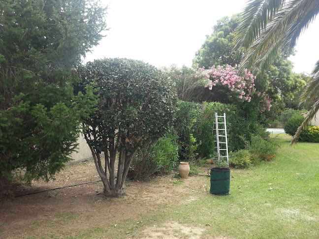Un Jardin dans la Ville - Paysagiste