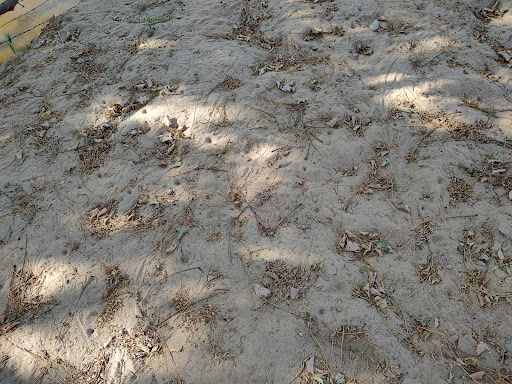 Paraíso de Acapulquito - Thumbnail
