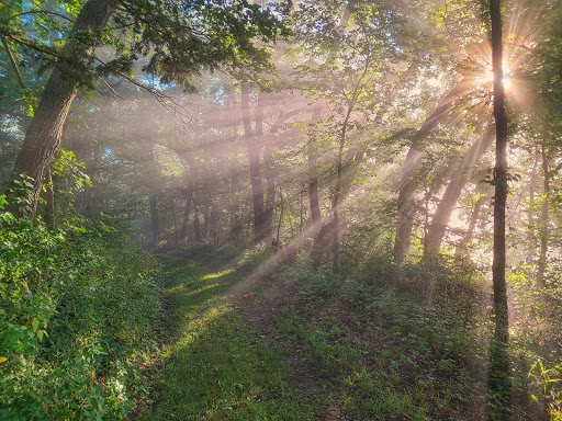 Gilbertson Park Gallery - United States