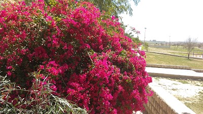 Photos of پارک طالقانی