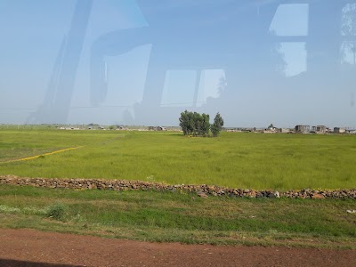Photos of Shire Indasslassie