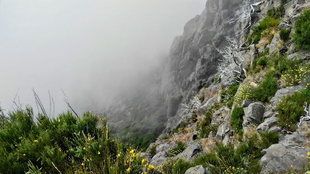 Miradouro do Juncal