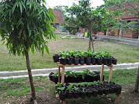 Foto SMP  Negeri 7 Banjarsari, Kab. Ciamis
