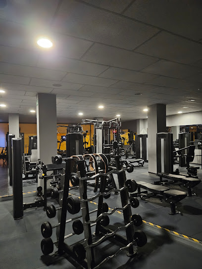 gimnasio-y-nutricion-flow-binefar