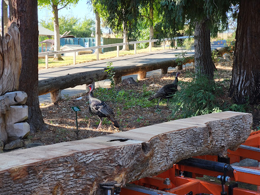 California Forest Center - Thumbnail