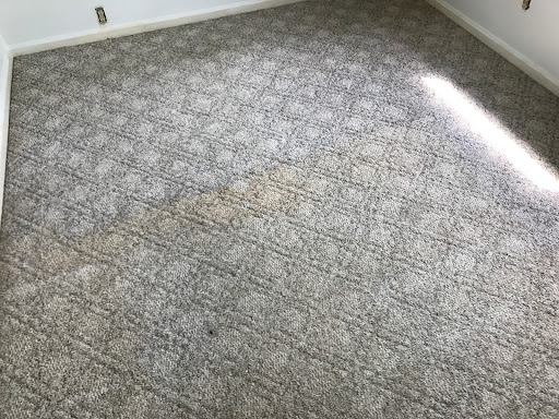 Blue Sky Carpet Cleaning - Thumbnail
