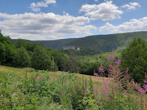 Schwarzburg - Visual
