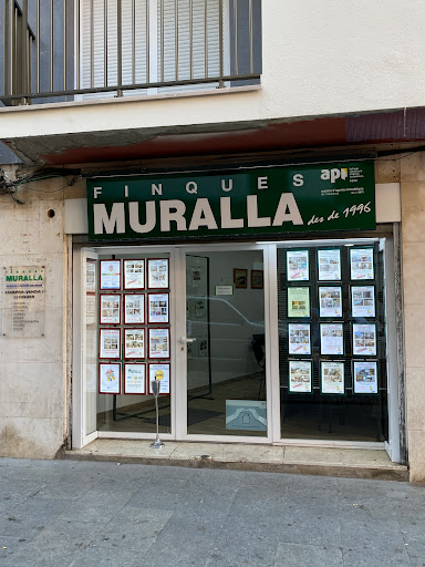 Finques Muralla - Thumbnail