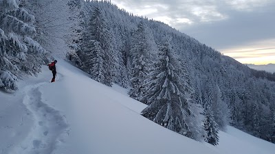Photos of Lindaumauer