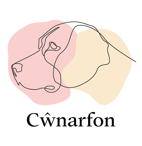 Cŵnarfon - Visual