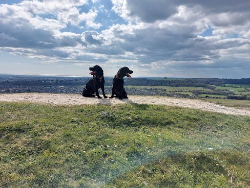 National Trust - Cissbury Ring - Thumbnail