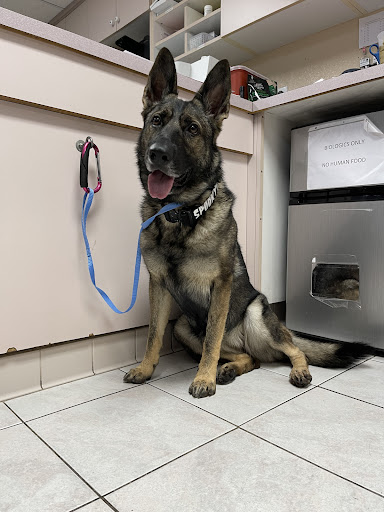 Tustin Santa Ana Vet Hospital
