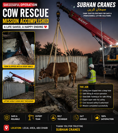 🐄 Successful Cow Rescue Operation by Subhan Cranes | Abu Dhabi post image