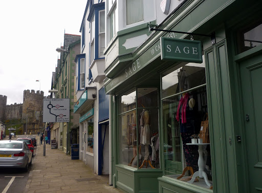Sage At Conwy - Thumbnail