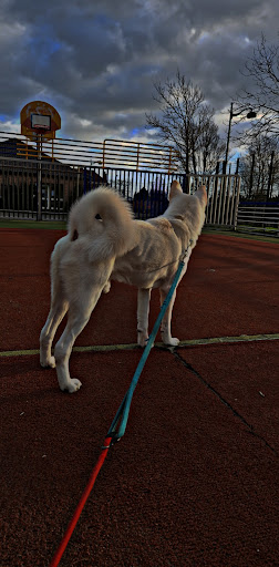 Edu'canin - Comportementaliste & éducateur canin - Thumbnail