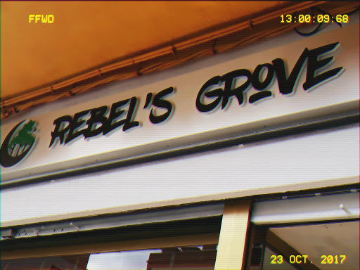 Rebel's Grove - Visual