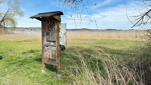Insektenhaus Riedgiessen - Thumbnail