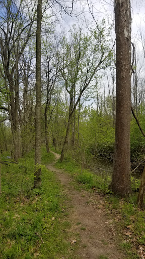 Gray Park - Visual
