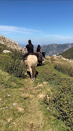 Photo n°27 de Chalet du Val d'Ese - Casìnu di u Valli d'Esi à Bastelica (Restaurant méditerranéen)
